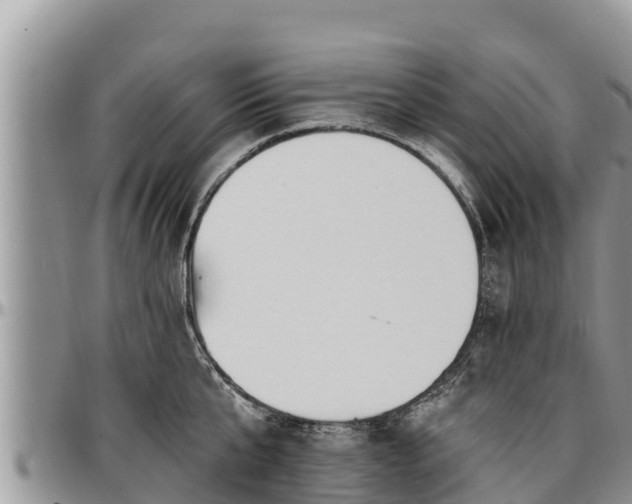 X0000097510807200802291617