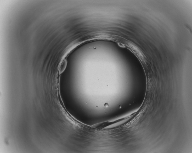 X0000097510808200802291617