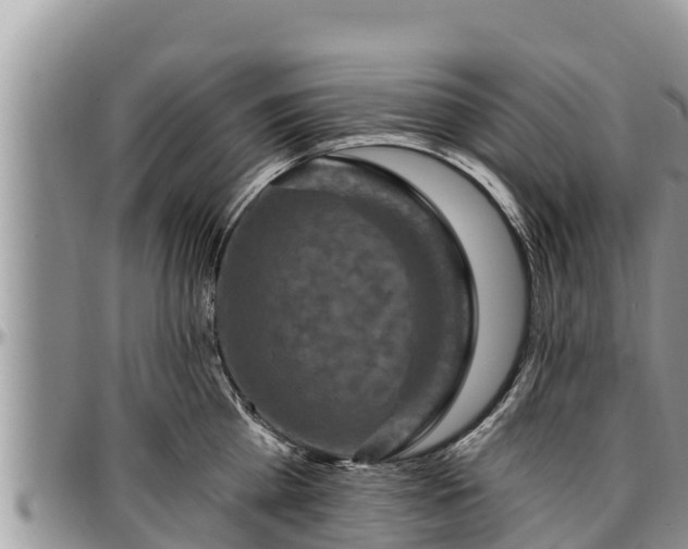 X0000097510809200802291617