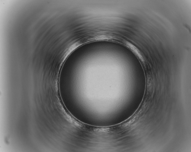 X0000097510810200802291617