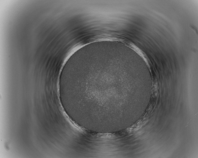 X0000097510811200802291617