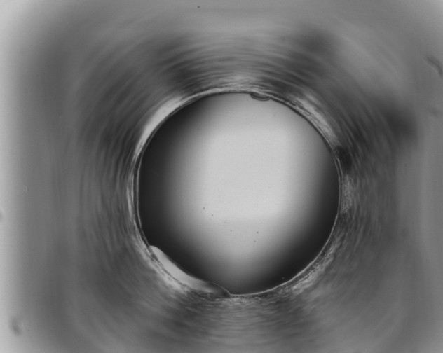 X0000097510812200802291617