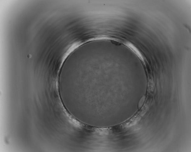 X0000097510813200802291617