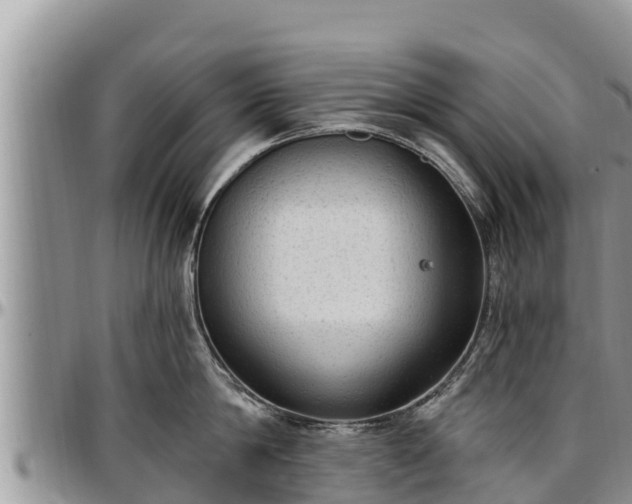 X0000097510814200802291617