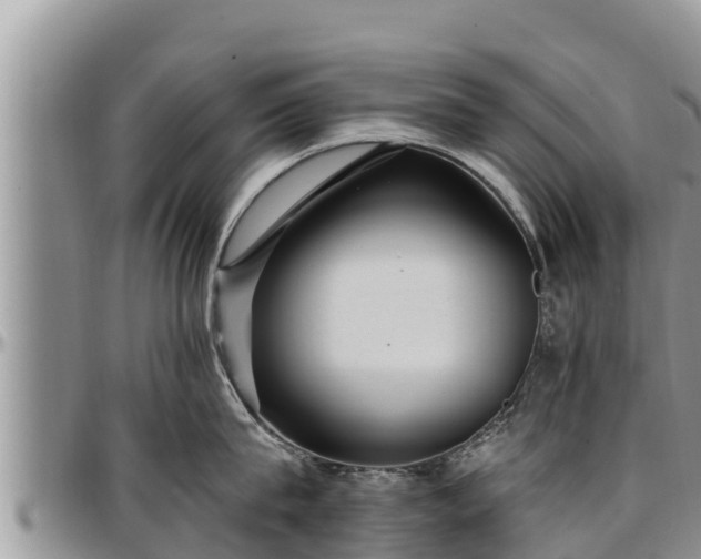 X0000097510815200802291617