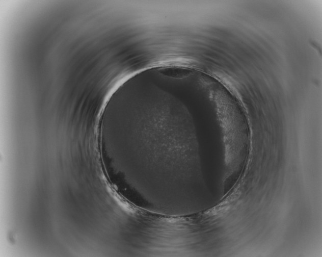 X0000097510816200802291617