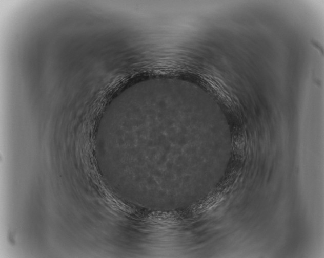 X0000097510817200802291617