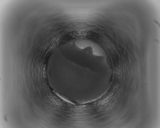 X0000097510818200802291617