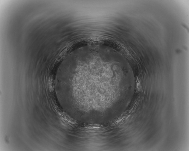 X0000097510819200802291617