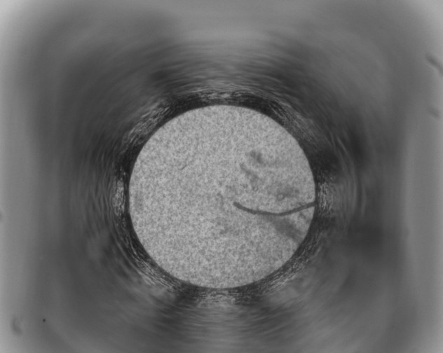 X0000097510820200802291617