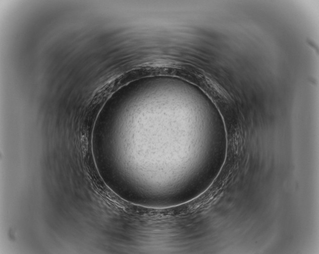 X0000097510821200802291617