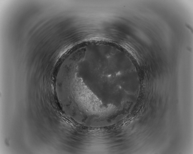 X0000097510823200802291617