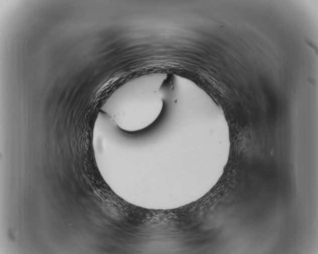 X0000097510824200802291617