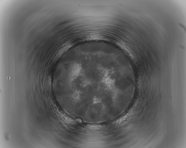 X0000097510825200802291617