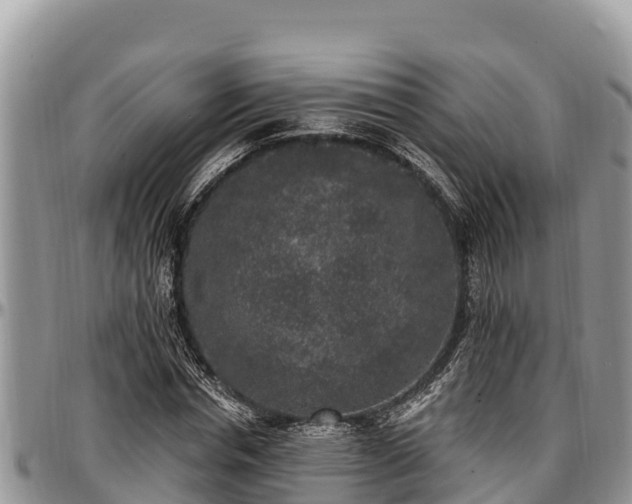 X0000097510826200802291617