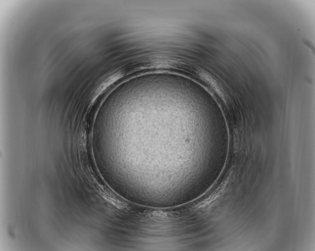 X0000097510827200802291617