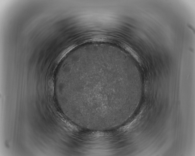 X0000097510829200802291617