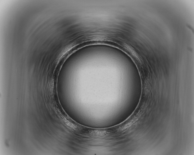 X0000097510831200802291617