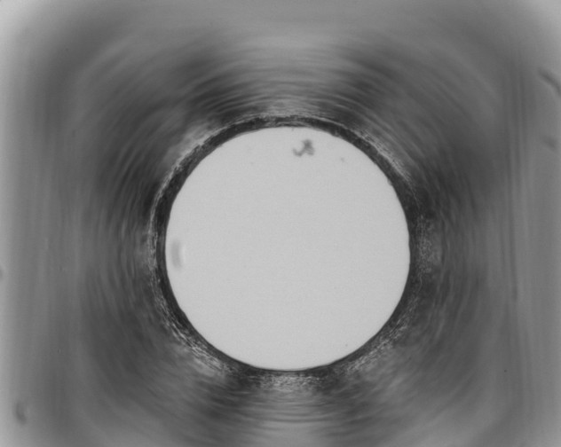 X0000097510832200802291617