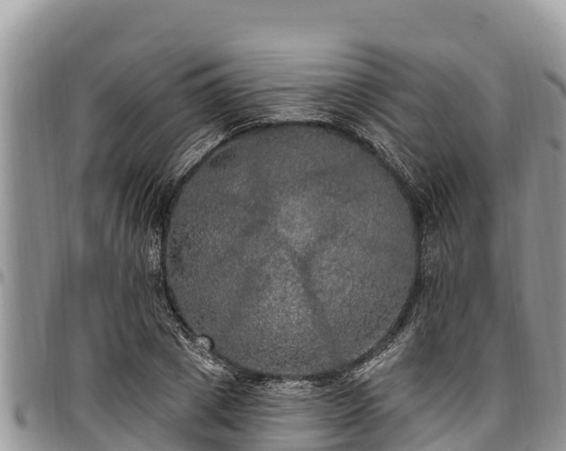 X0000097510833200802291617