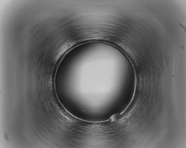 X0000097510834200802291617