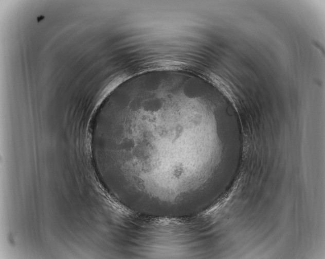 X0000097510835200802291617