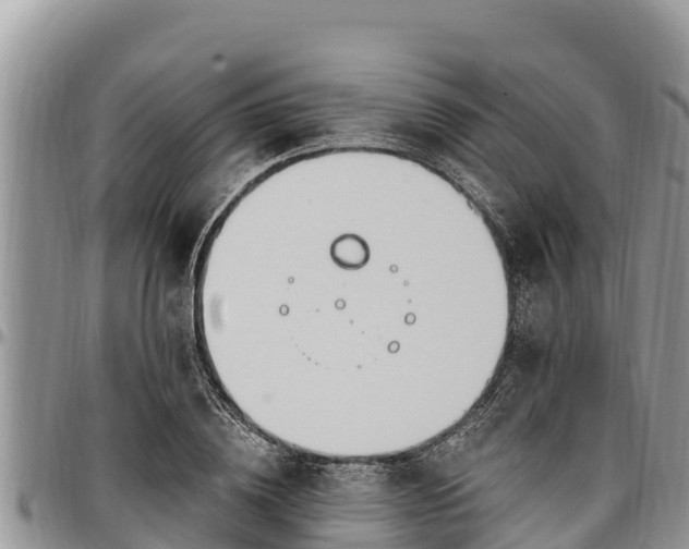 X0000097510836200802291617