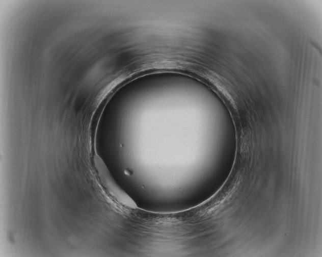 X0000097510837200802291617