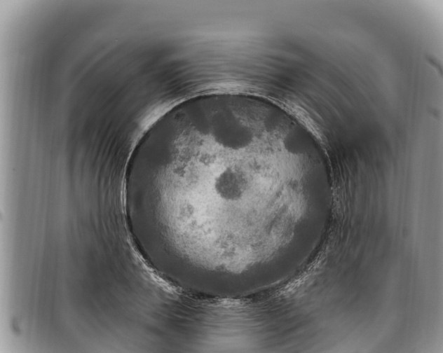 X0000097510839200802291617