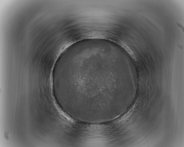 X0000097510840200802291617