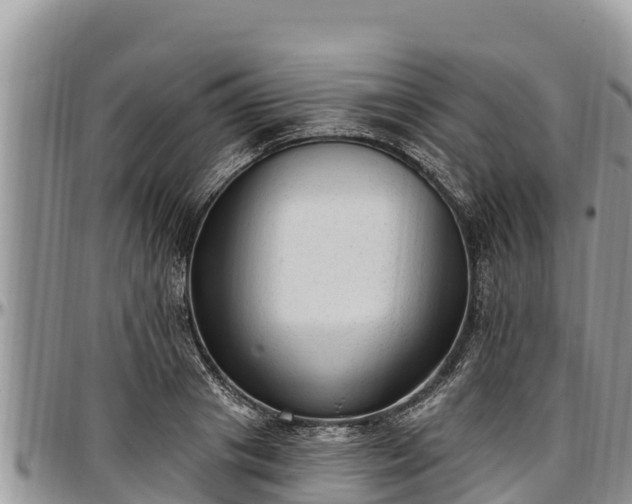 X0000097510841200802291617