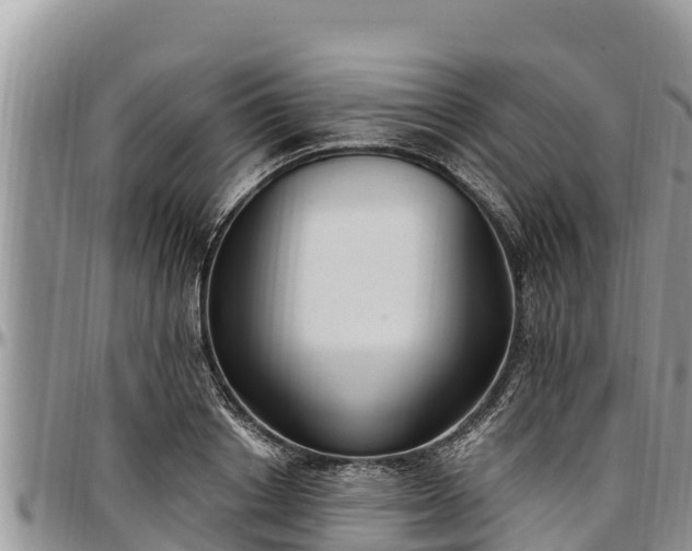 X0000097510842200802291617