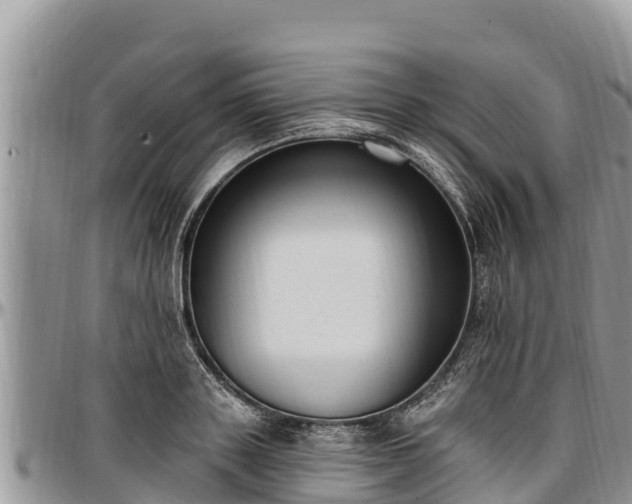 X0000097510843200802291617