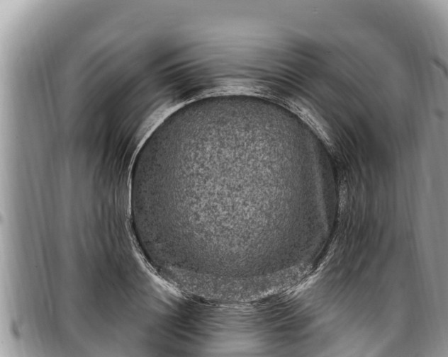 X0000097510844200802291617