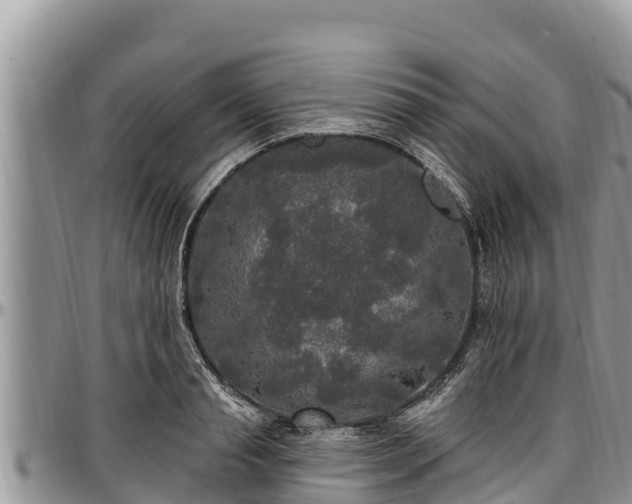 X0000097510845200802291617