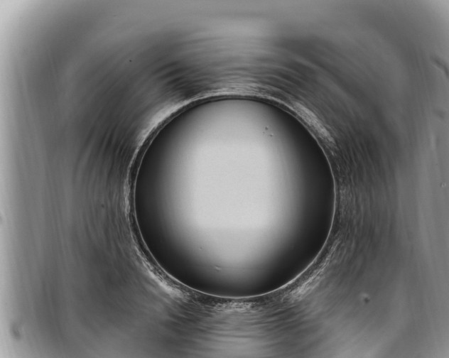 X0000097510846200802291617