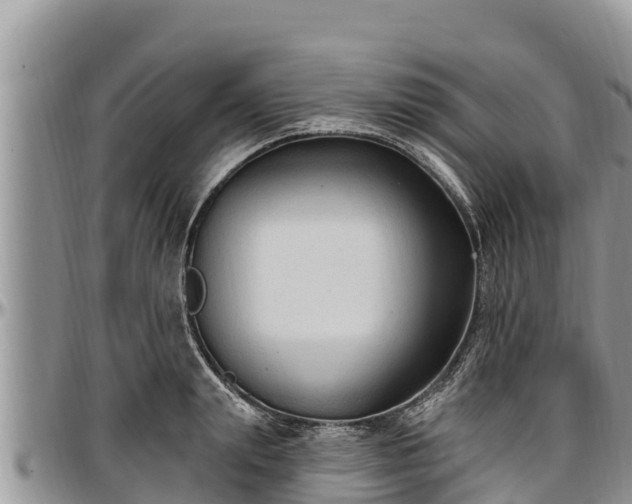 X0000097510847200802291617