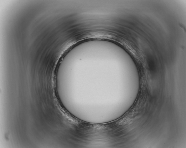 X0000097510848200802291617