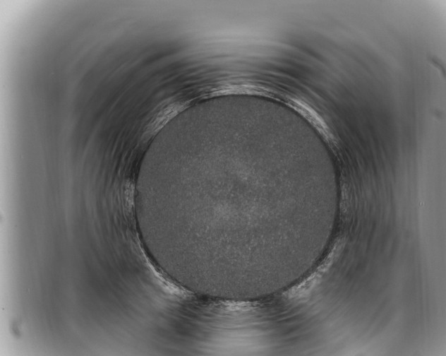 X0000097510849200802291617