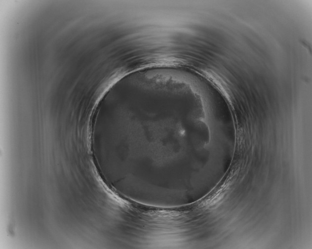 X0000097510851200802291617