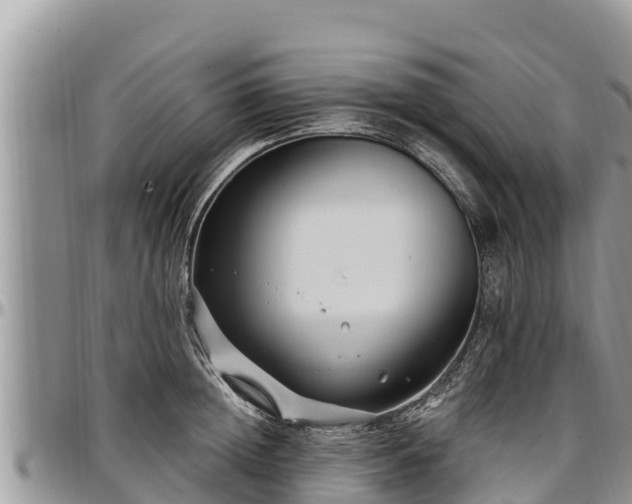 X0000097510852200802291617