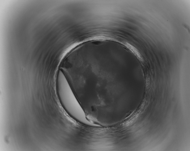 X0000097510854200802291617