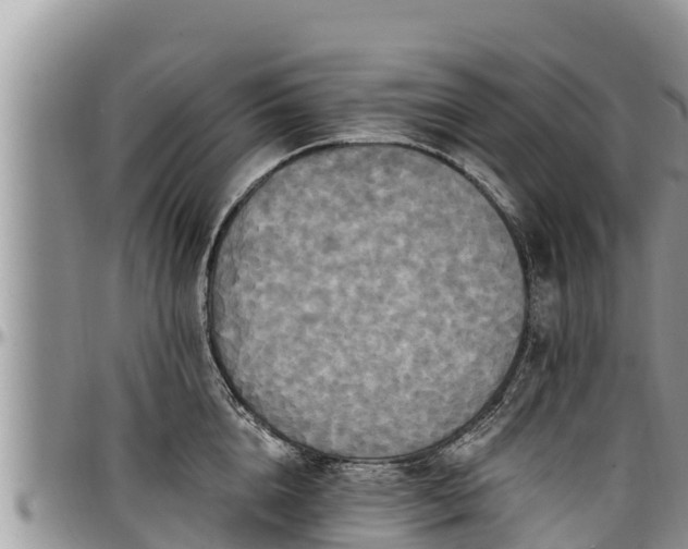 X0000097510856200802291617