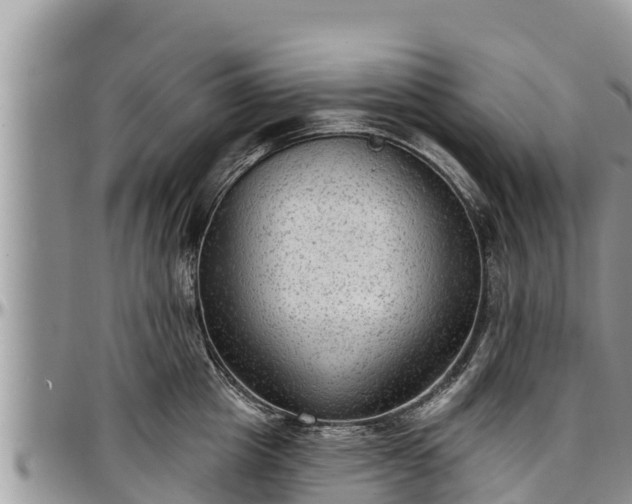 X0000097510857200802291617