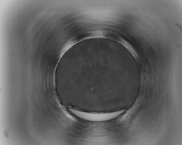 X0000097510858200802291617