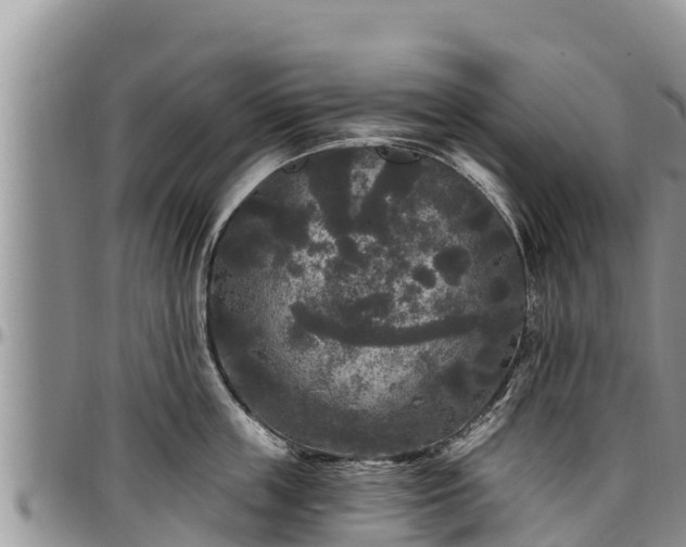 X0000097510859200802291617