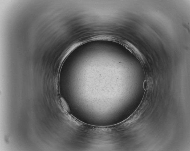 X0000097510860200802291617