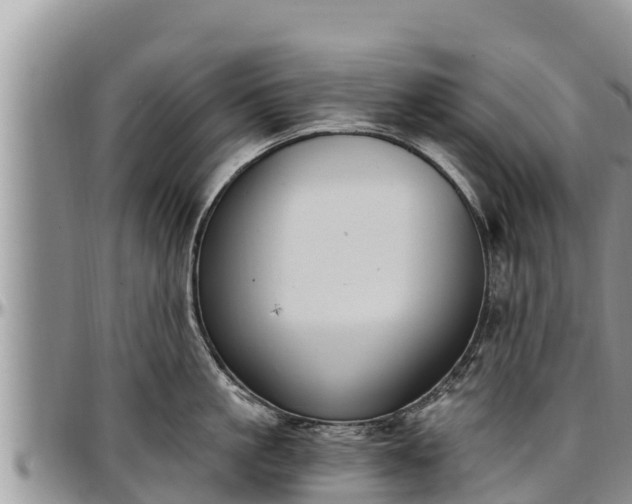 X0000097510861200802291617