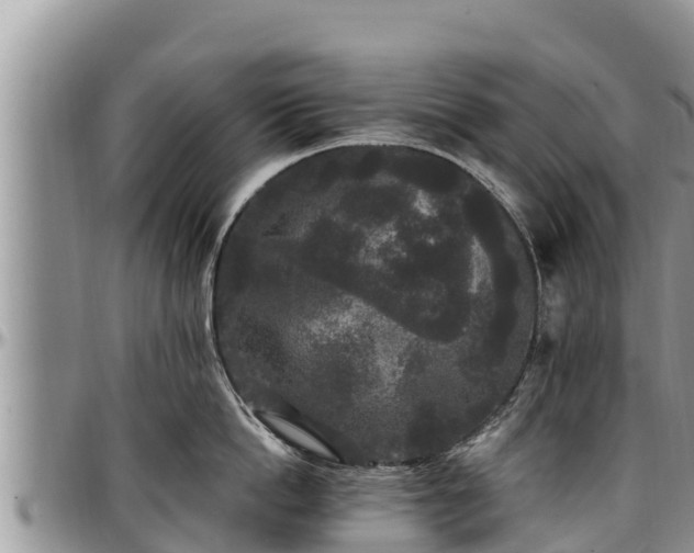 X0000097510862200802291617