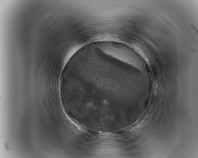 X0000097510863200802291617